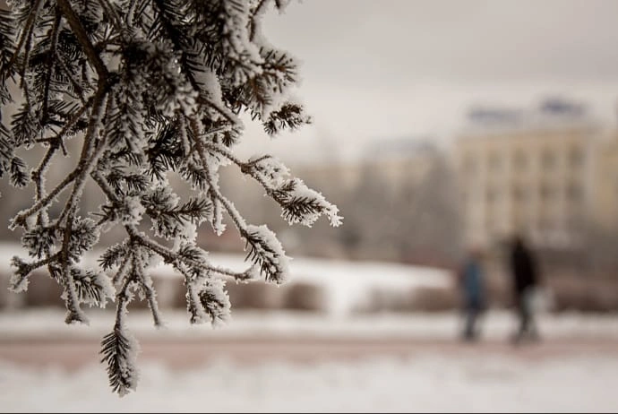 Sabah qar yağacaq, Qar, Hava, Hava proqnozu
