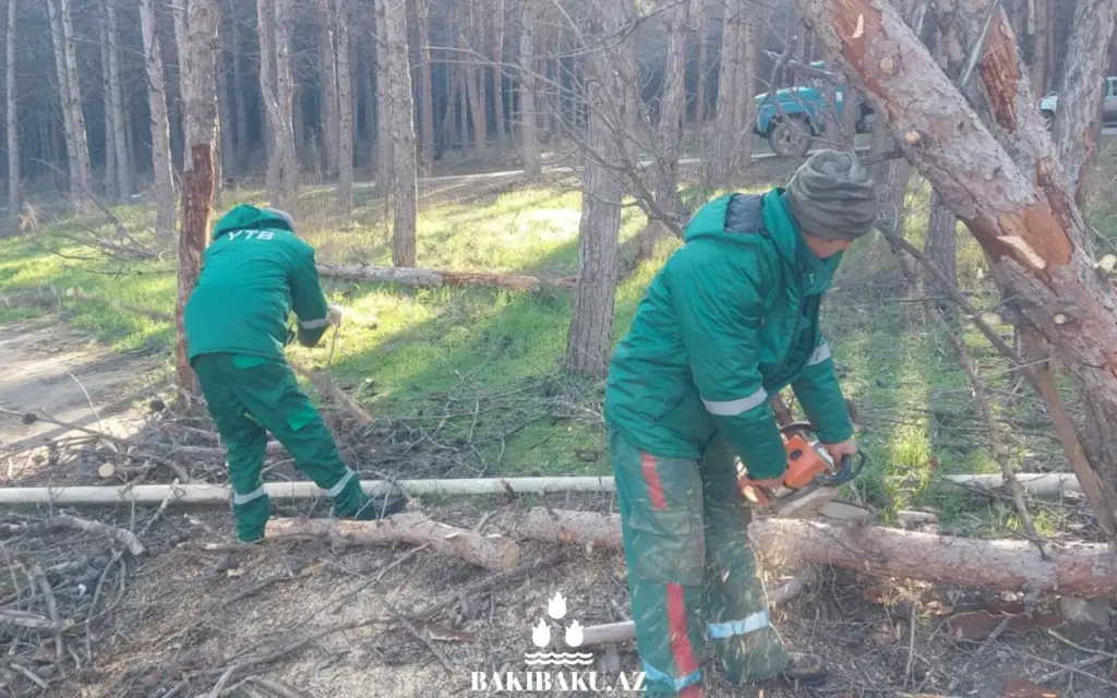 Biləcəri qəsəbəsi