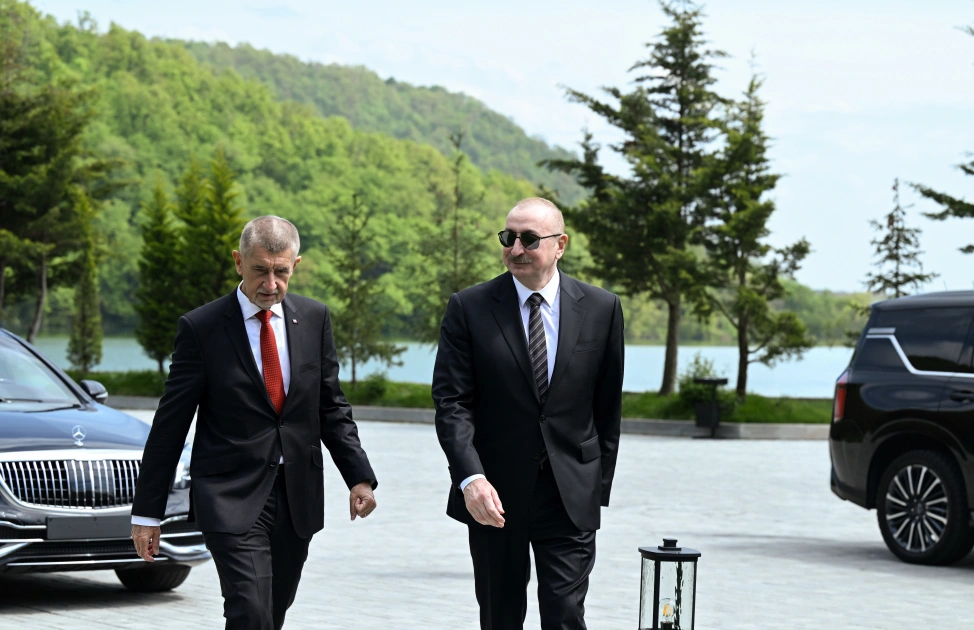 Çexiyanın Baş naziri, Çexiya, Andrey Babiş
