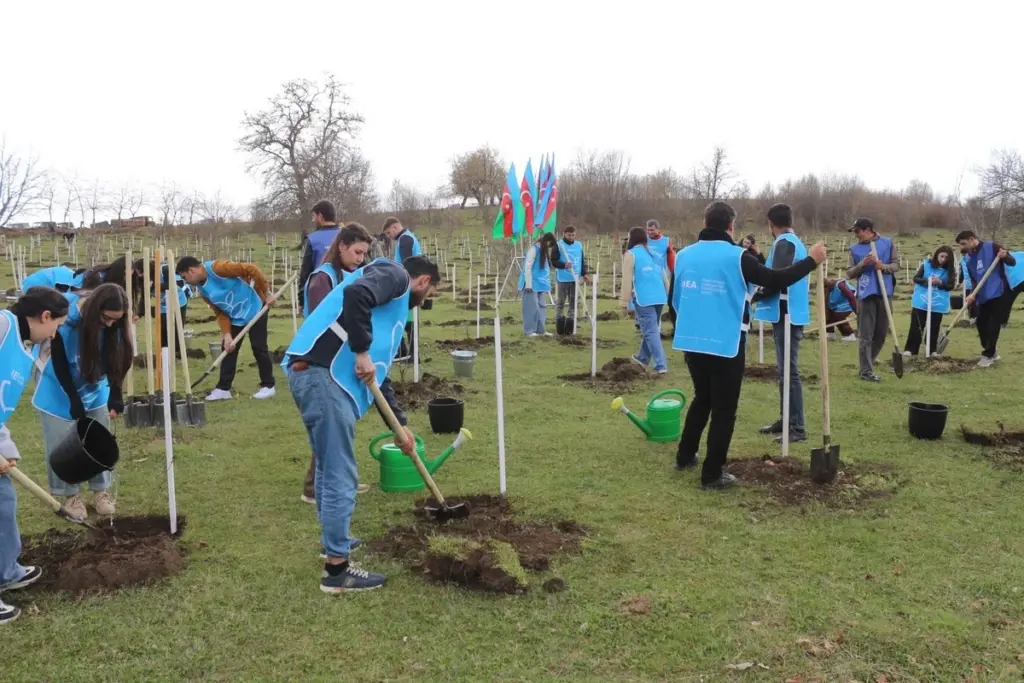 Gədəbəy rayonu, Şahdağ kəndi, IDEA