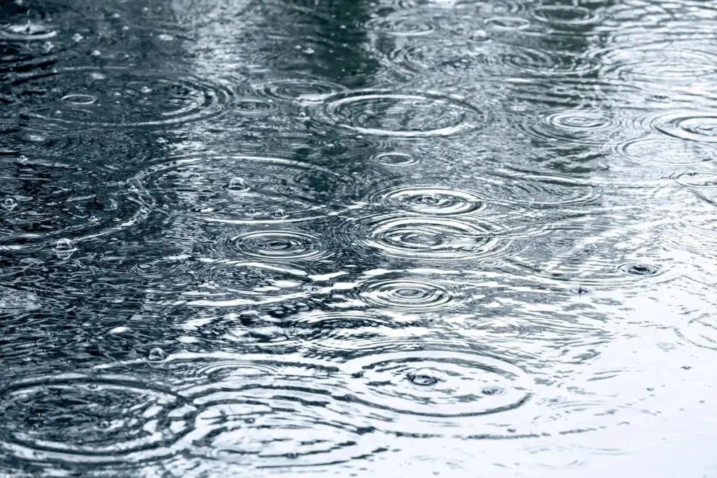 Yağış yağacaq, Hava, Hava proqnozu