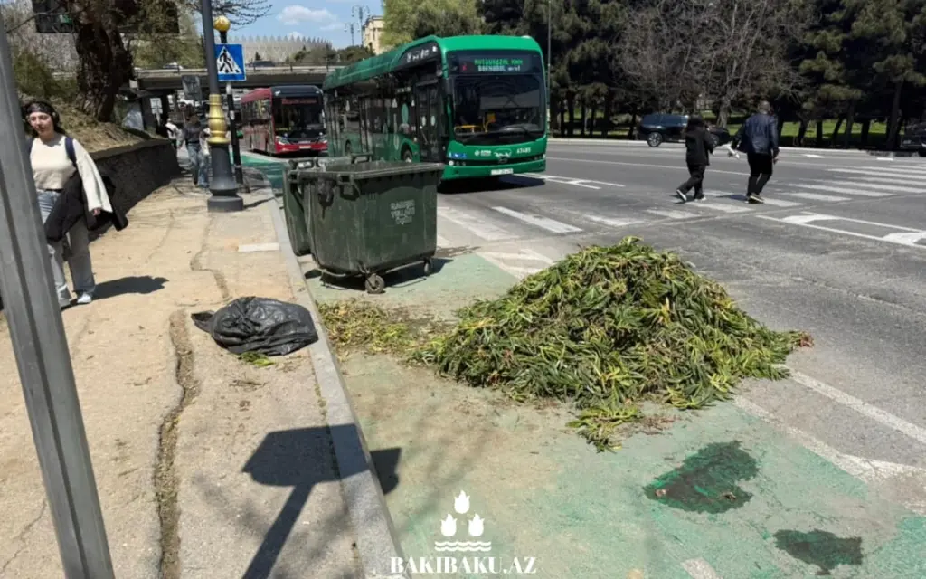 Velosiped yolu, Yasamal rayonu, Cəfər Cabbarlı küçəsi, Caspian Plaza