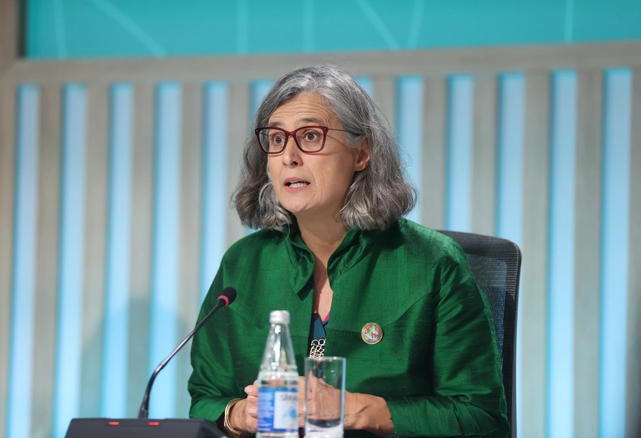 Anaklaudia Rossbax, WUF13, UN-Habitat