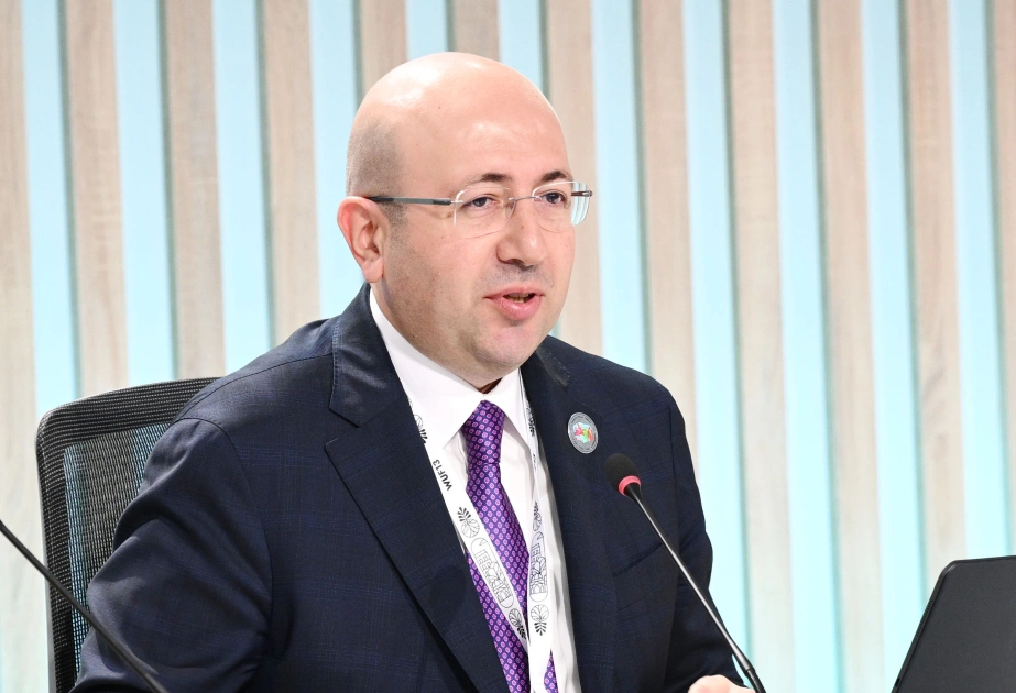 “Urban Expo” sərgisi, WUF13, Anar Quliyev