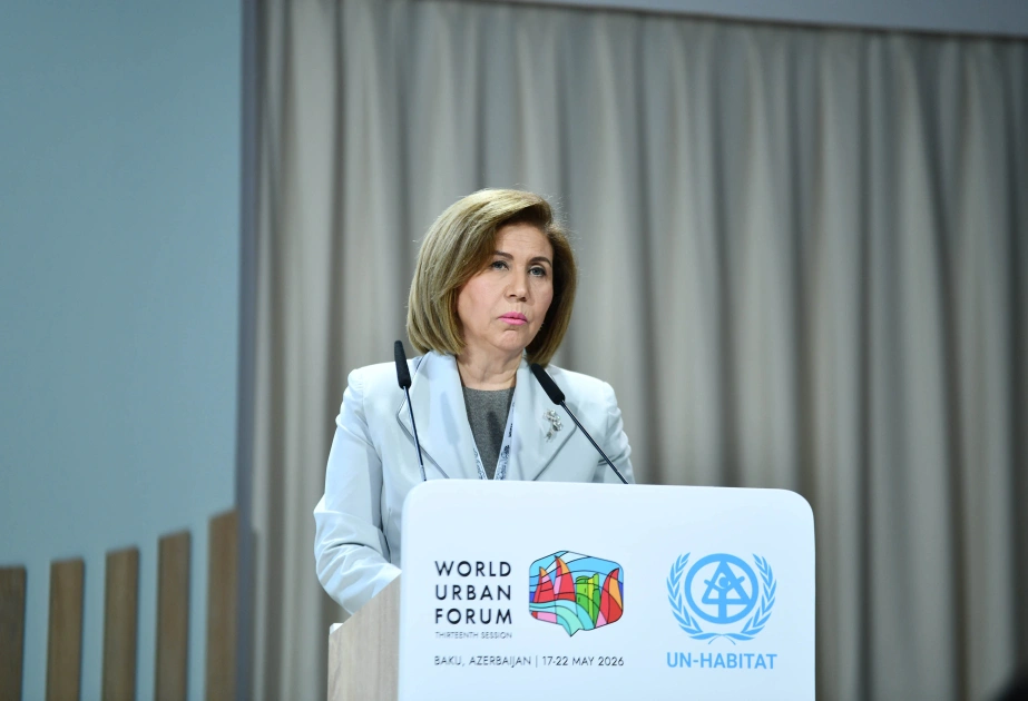 Bahar Muradova, BMT, Ümumdünya Şəhərsalma Forumu, WUF13, Qadınlar Assambleyası
