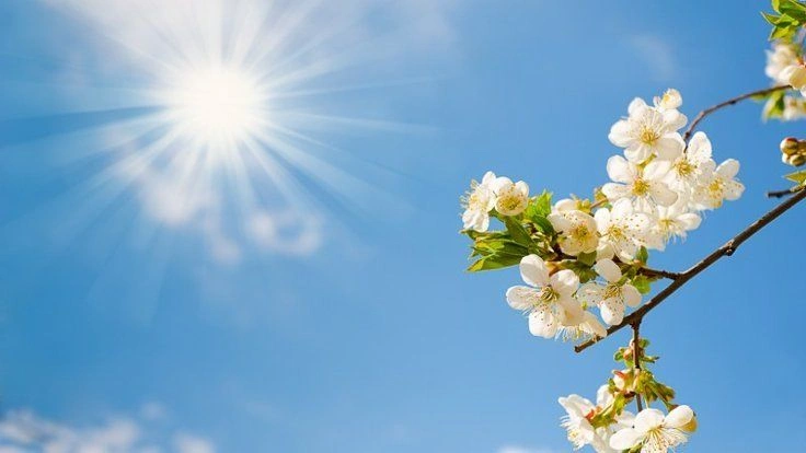 22 dərəcə isti, Hava, Hava proqnozu