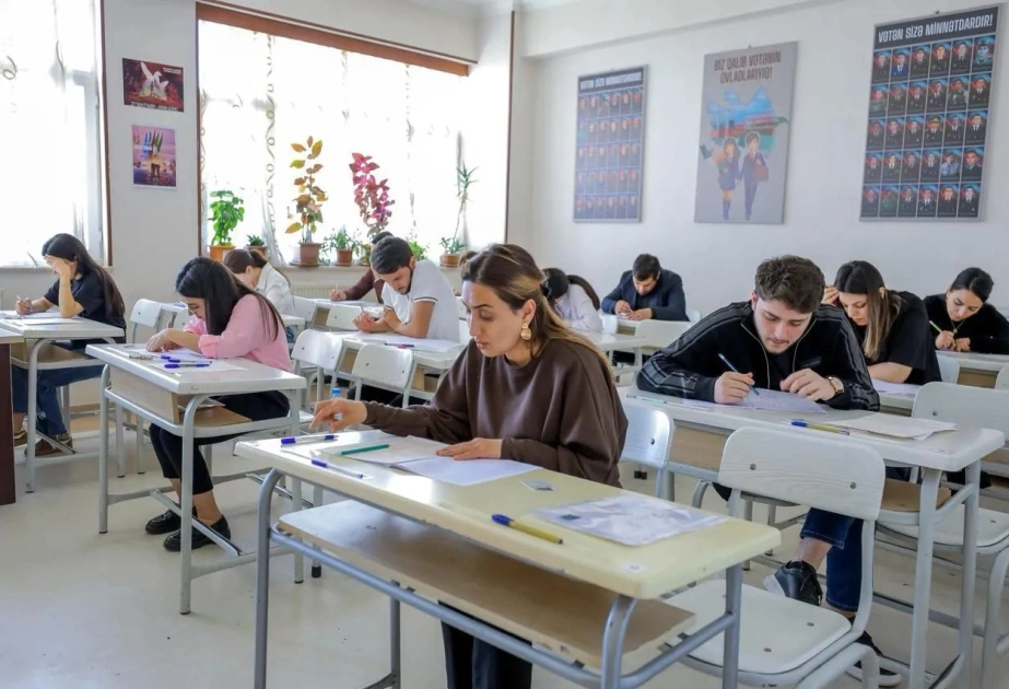 DİM, Magistratura
