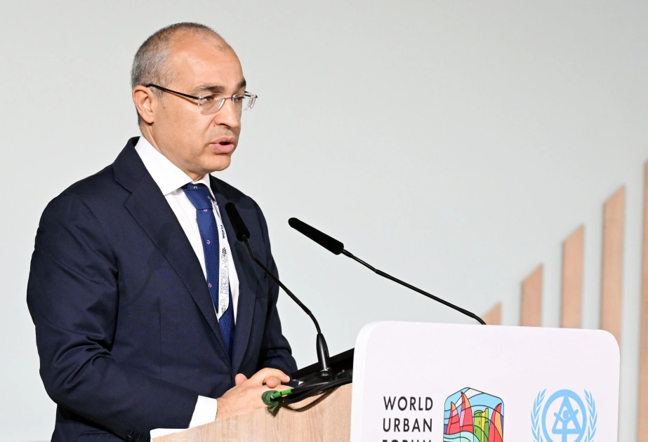 Mikayıl Cabbarov, WUF13
