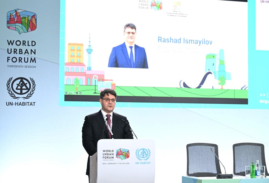 Rəşad İsmayılov, WUF13