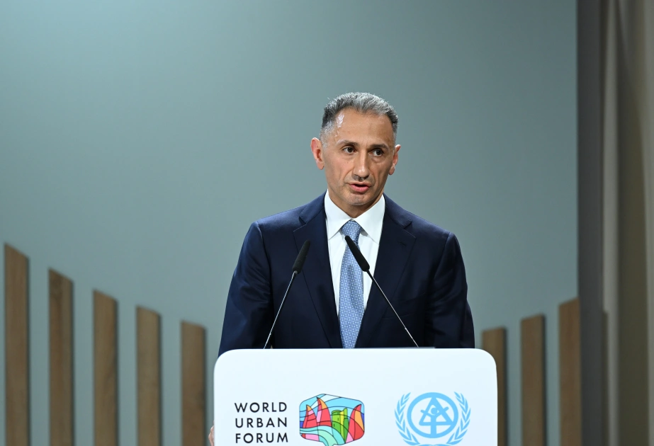 Rəşad Nəbiyev, WUF13