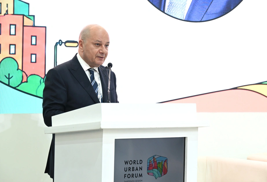 Vüqar Süleymanov, WUF13