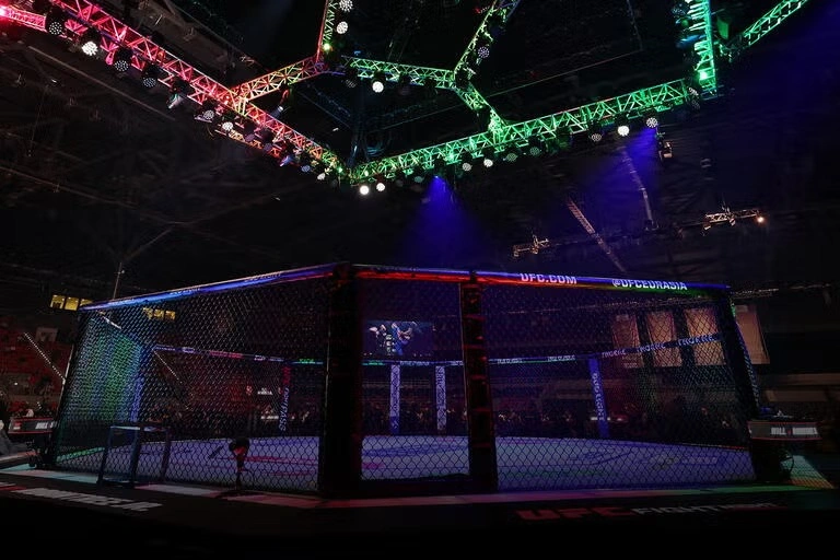 "UFC Fight Night Baku"