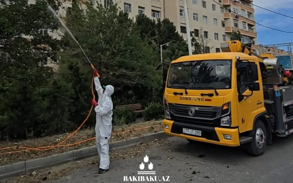 Yaşıllaşdırma Təsərrüfatı Birliyi
