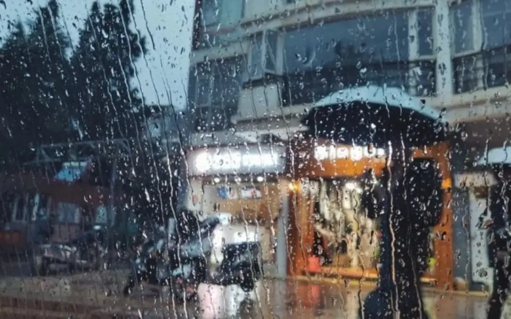 Hava, Hava proqnozu