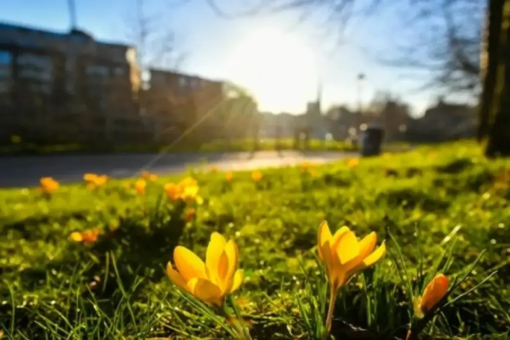 "Bilik günü", Hava, Hava proqnozu