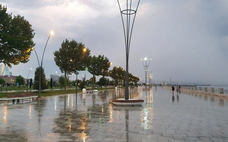 Yağış, Hava, Hava proqnozu