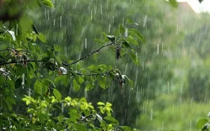 Bakıda sabah yağış yağacağı gözlənilir, Hava, Hava proqnozu