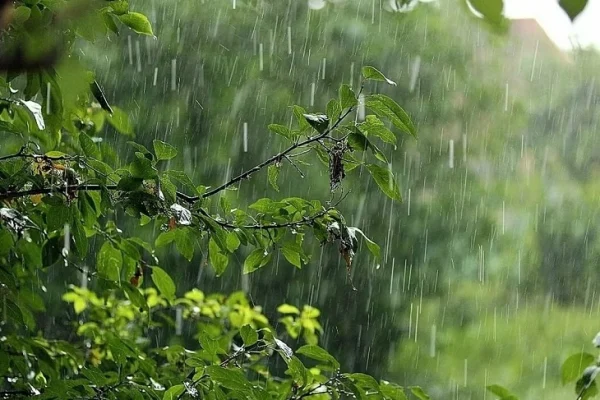Bakıda sabah yağış yağacağı gözlənilir, Hava, Hava proqnozu