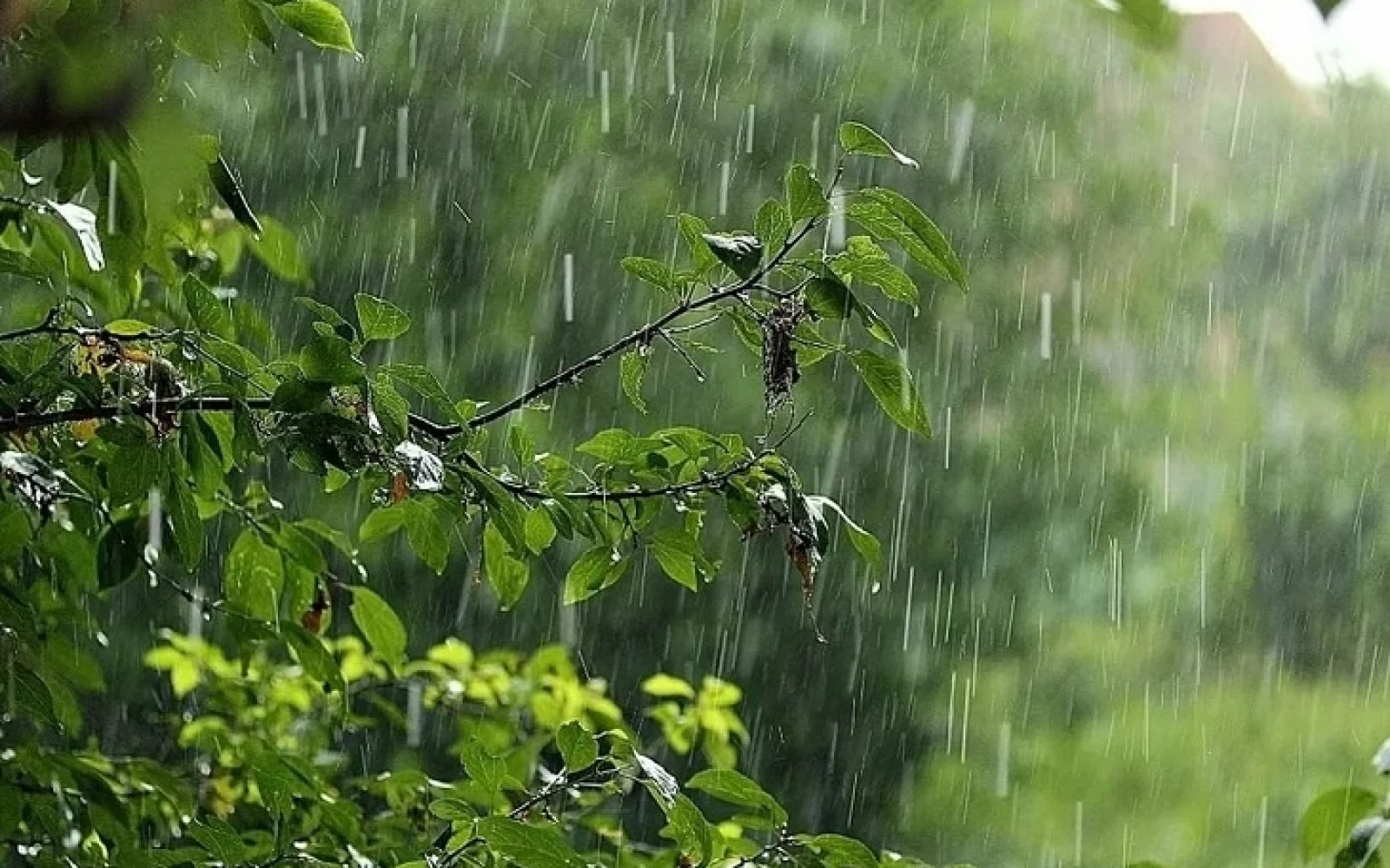 Bakıda sabah yağış yağacağı gözlənilir, Hava, Hava proqnozu