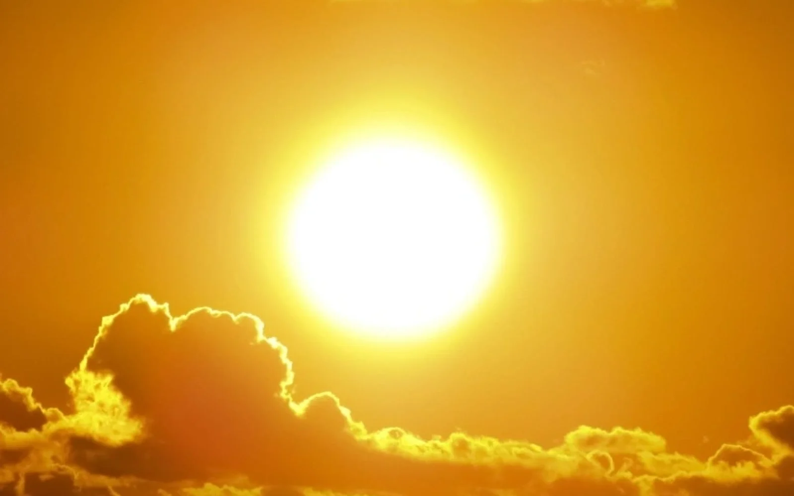 39 dərəcə isti, Hava, Hava proqnozu