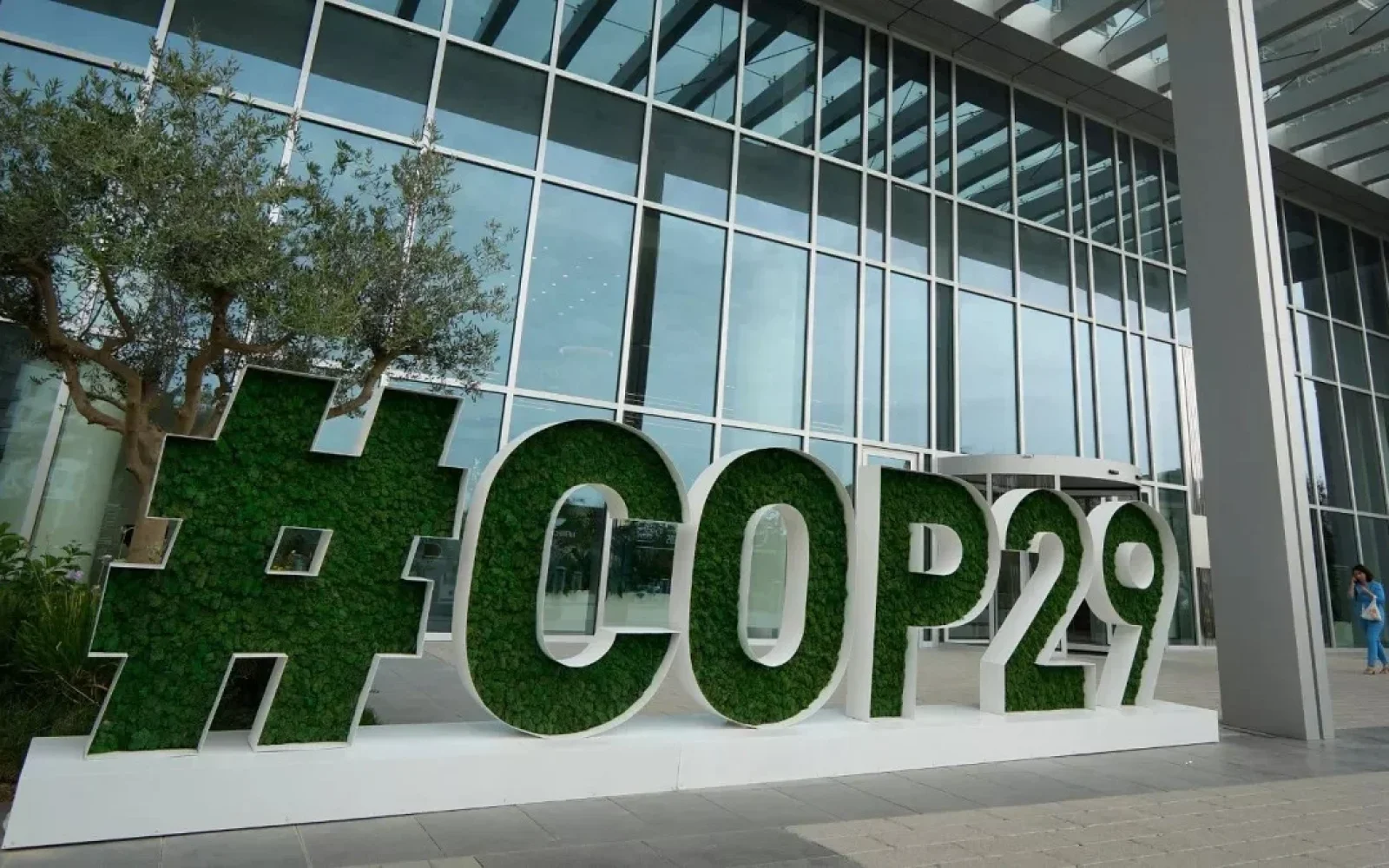 COP29