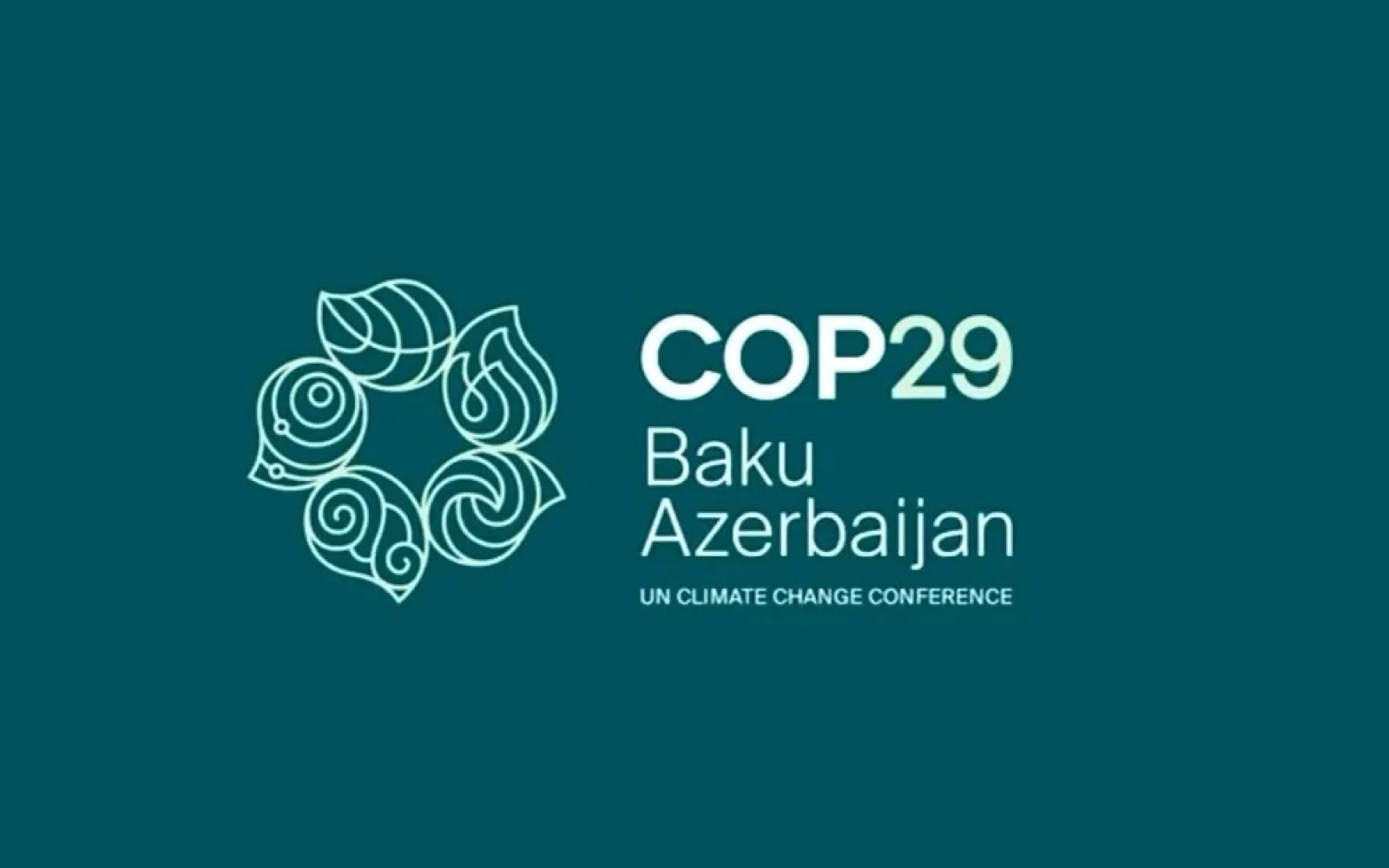 COP29