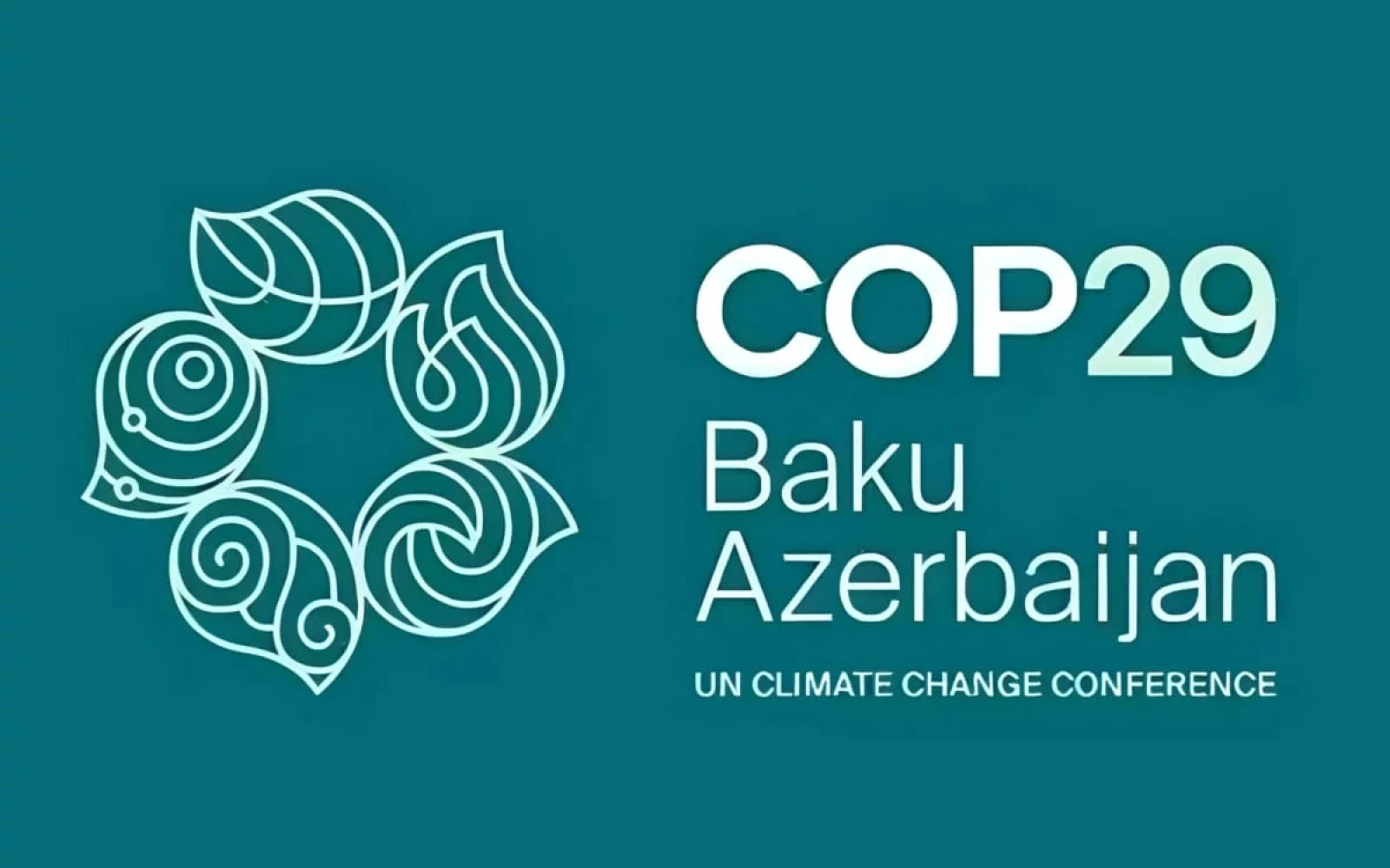 COP29
