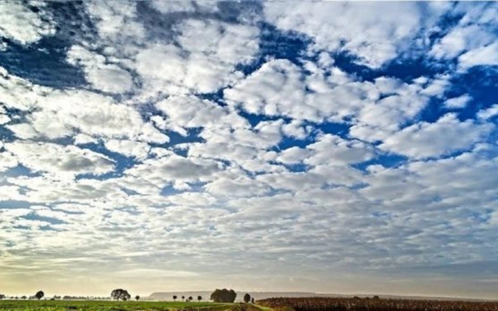 54281121-7BA6-4C3F-8975-D1CD8B4B271F