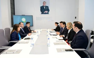 Azərbaycan və TİKA, TİKA