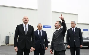 “AZWOOL”, “Matanat-A”