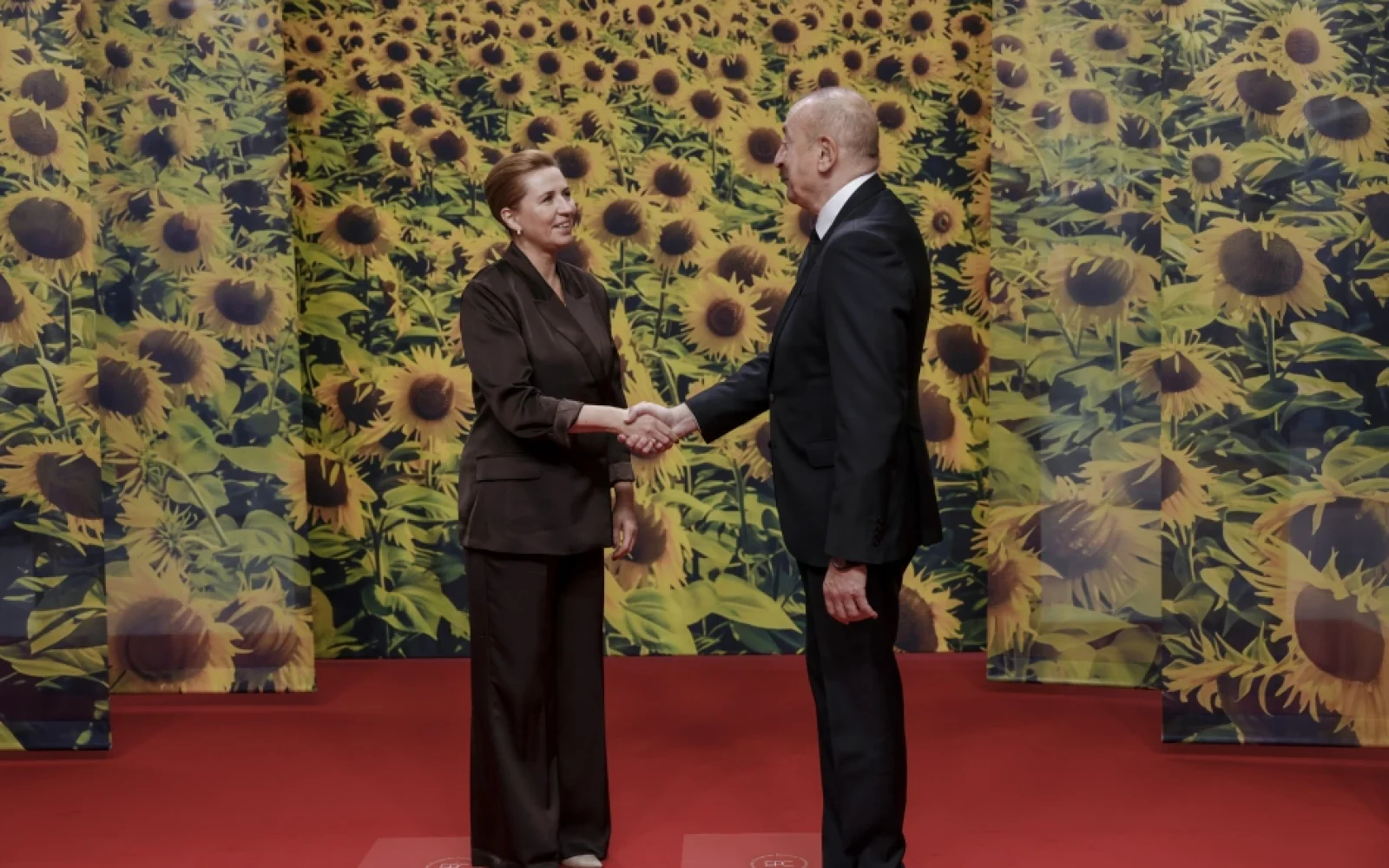 “Avropa Siyasi Birliyi”