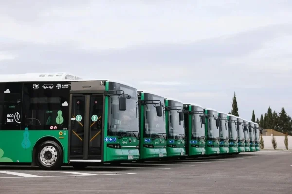 Avtobus