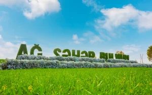 “Qara şəhər”dən “Ağ şəhər”ə, “Qara şəhər”, “Ağ şəhər”, “Bakının yaşıl siması”