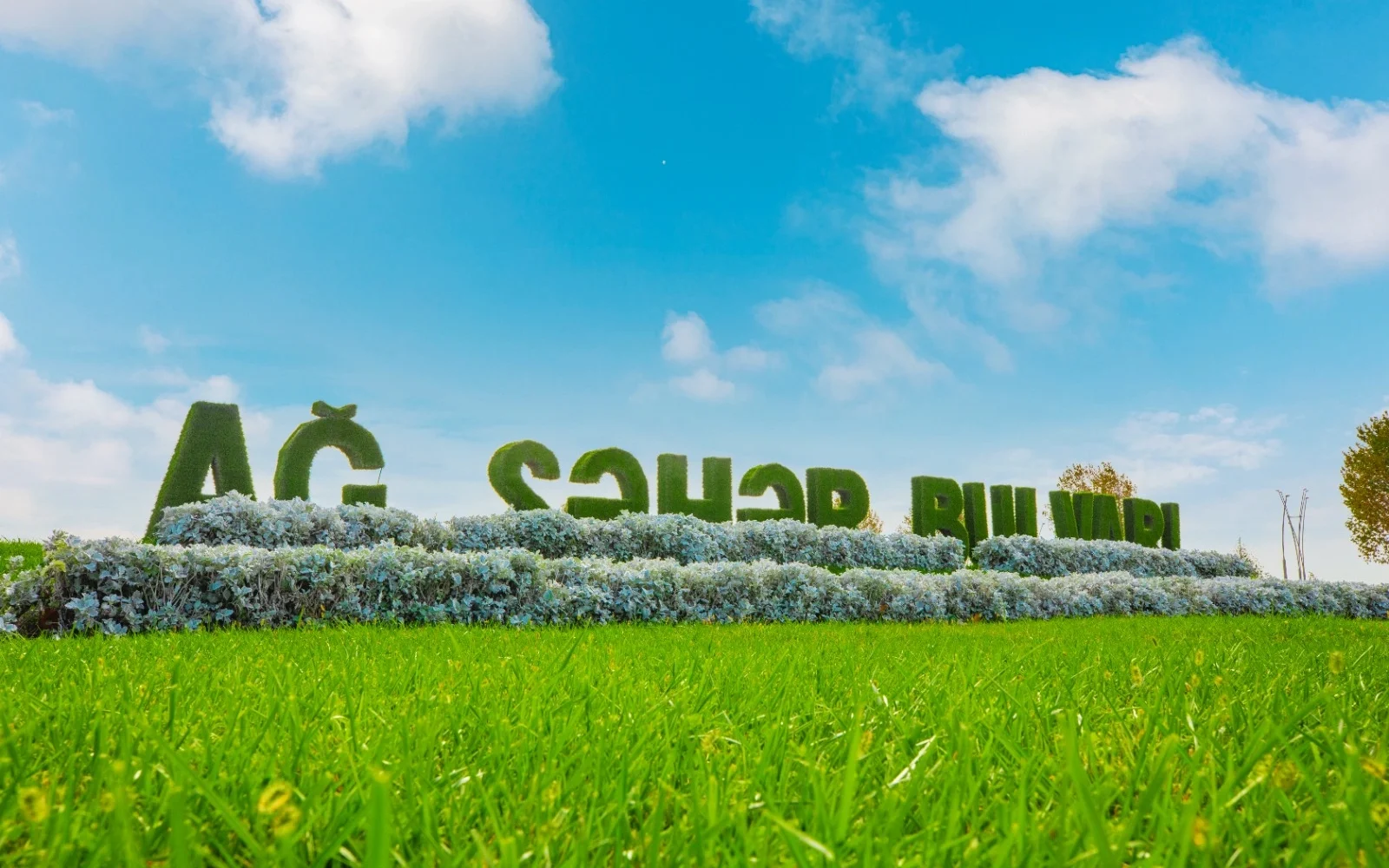 “Qara şəhər”dən “Ağ şəhər”ə, “Qara şəhər”, “Ağ şəhər”, “Bakının yaşıl siması”