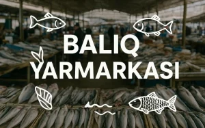 Balıq yarmarkası, Balıq, "Balıqçılıq və Akvakultura Mərkəzi"