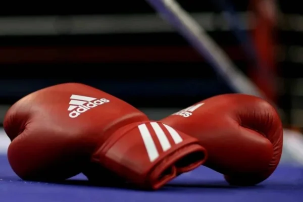 İBA Çempionlar Gecəsi, Boks