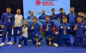 Azərbaycan boksçuları, Boks, Avropa Çempionatı