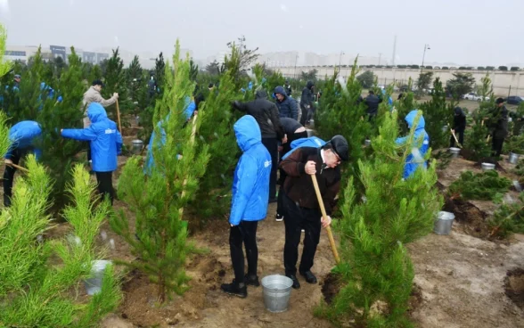 Şanlı Zəfərin 5-ci ildönümünə həsr edilən ağacəkmə aksiyası, Bakı Şəhər İcra Hakimiyyəti, “Regional İnkişaf” İctimai Birliyi, Nərimanov rayonu, Ağacəkmə aksiyası