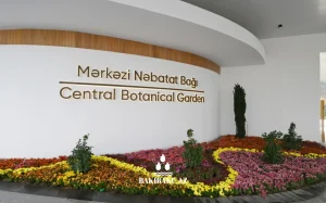 Mərkəzi Nəbatat Bağında yanğın, Mərkəzi Nəbatat Bağı, Bakı Şəhər İcra Hakimiyyəti, Fövqəladə Hallar Nazirliyi, Yanğın, Təlim