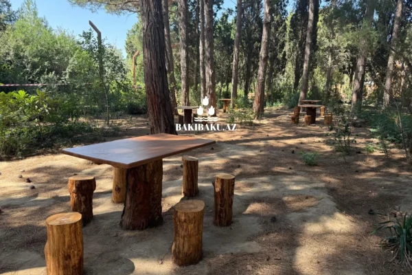 Nəbatat Bağında dezinfeksiya, Mərkəzi Nəbatat Bağı, Dezinfeksiya