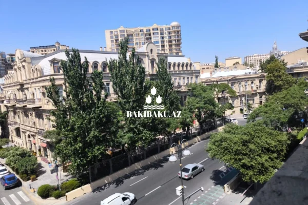 Баку и чинары