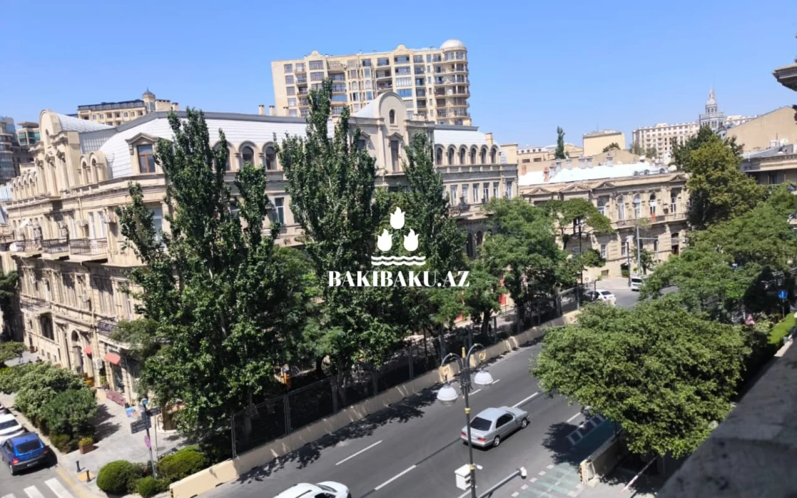 Баку и чинары