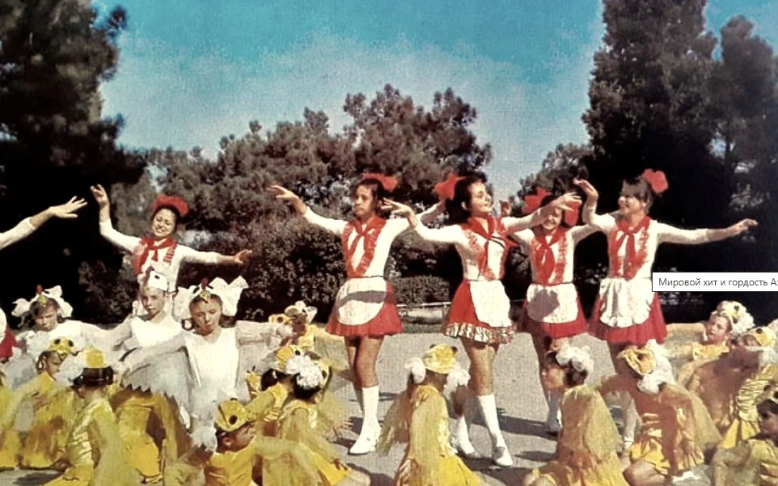 “Cücələrim”, Suğra Bağırzadə