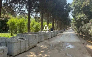 “Dendrologiya bağı”