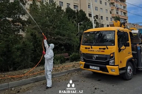 Yaşıllaşdırma Təsərrüfatı Birliyi