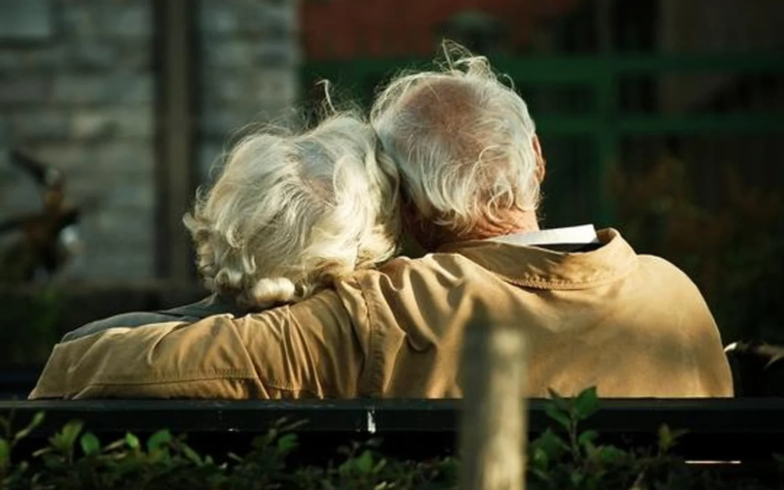 Yaşlıların sayı, Bakı Şəhər Herontoloji Mərkəzi
