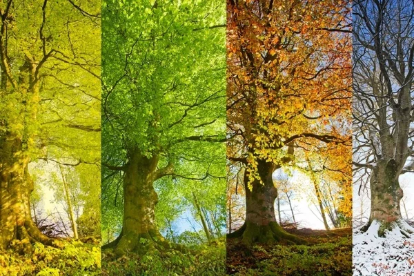 Fəsillərin Azərbaycana daxilolma vaxtları, Fəsil