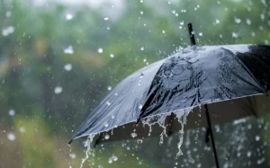 Sabah yağış yağacaq, Hava, Hava proqnozu
