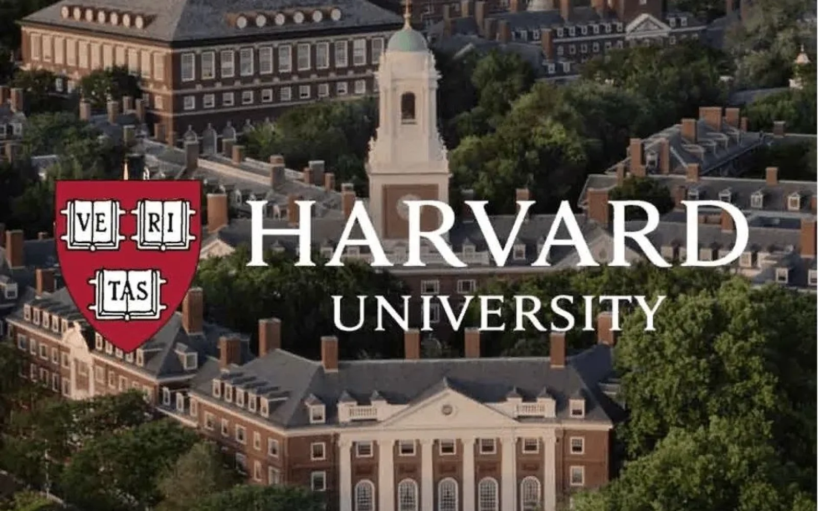 Harvard haqqında, Harvard, Harvard Universiteti