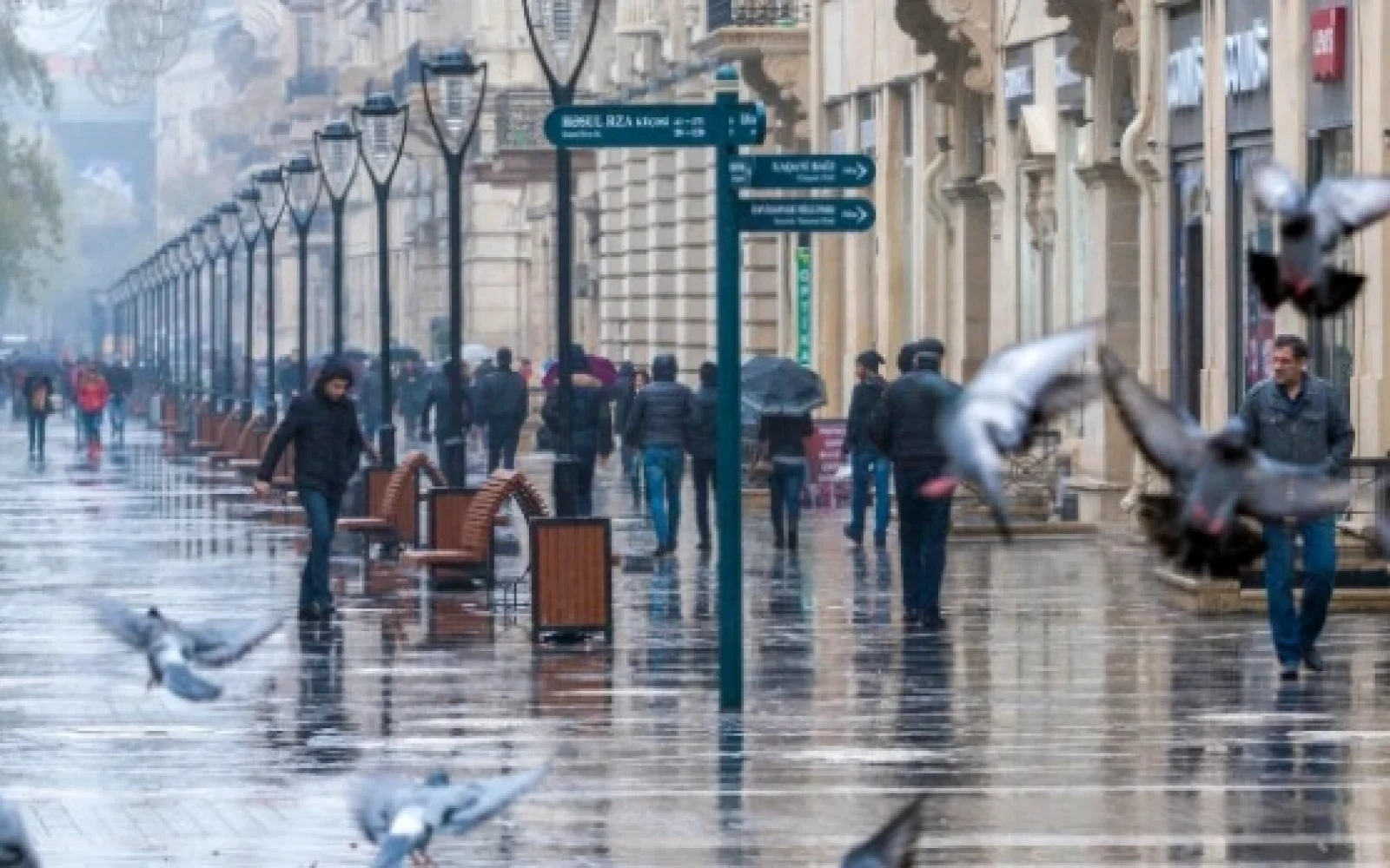 Bakıda yağış yağacaq, Hava, Hava proqnozu